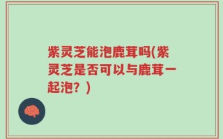 紫灵芝能泡鹿茸吗(紫灵芝是否可以与鹿茸一起泡？)