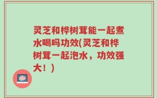 灵芝和桦树茸能一起煮水喝吗功效(灵芝和桦树茸一起泡水，功效强大！)