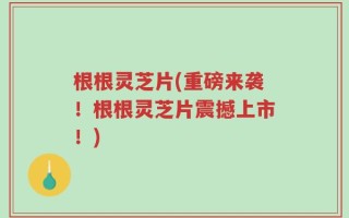 根根灵芝片(重磅来袭！根根灵芝片震撼上市！)