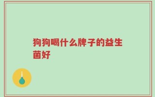 狗狗喝什么牌子的益生菌好