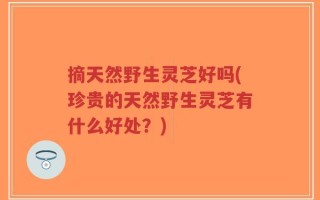 摘天然野生灵芝好吗(珍贵的天然野生灵芝有什么好处？)