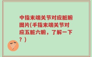 中指末端关节对应脏腑图片(手指末端关节对应五脏六腑，了解一下？)