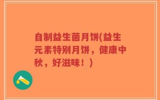 自制益生菌月饼(益生元素特别月饼，健康中秋，好滋味！)