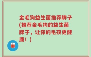 金毛狗益生菌推荐牌子(推荐金毛狗的益生菌牌子，让你的毛孩更健康！)
