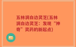 五林洞白边灵芝(五林洞白边灵芝：发现“神奇”灵药的新起点)