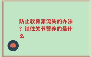 防止软骨素流失的办法？锁住关节营养的是什么