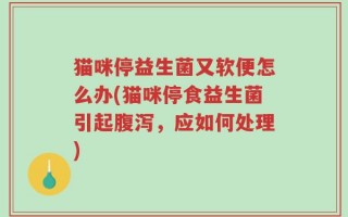 猫咪停益生菌又软便怎么办(猫咪停食益生菌引起腹泻，应如何处理)