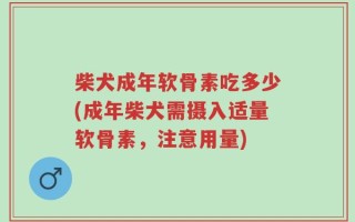 柴犬成年软骨素吃多少(成年柴犬需摄入适量软骨素，注意用量)