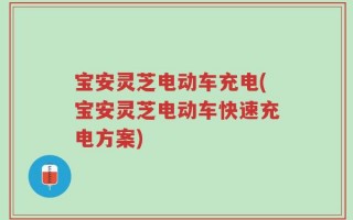 宝安灵芝电动车充电(宝安灵芝电动车快速充电方案)