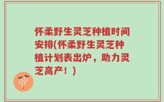 怀柔野生灵芝种植时间安排(怀柔野生灵芝种植计划表出炉，助力灵芝高产！)