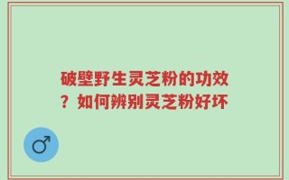 破壁野生灵芝粉的功效？如何辨别灵芝粉好坏