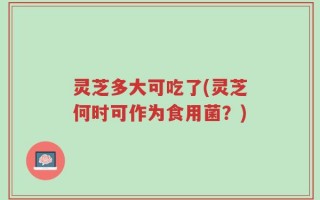 灵芝多大可吃了(灵芝何时可作为食用菌？)