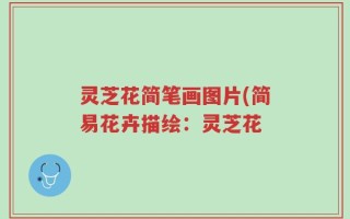 灵芝花简笔画图片(简易花卉描绘：灵芝花