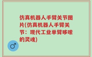 仿真机器人手臂关节图片(仿真机器人手臂关节：现代工业单臂哆嗦的灵魂)