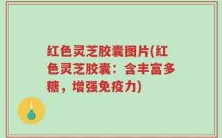 红色灵芝胶囊图片(红色灵芝胶囊：含丰富多糖，增强免疫力)