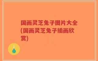 国画灵芝兔子图片大全(国画灵芝兔子插画欣赏)
