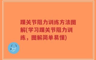 踝关节阻力训练方法图解(学习踝关节阻力训练，图解简单易懂)