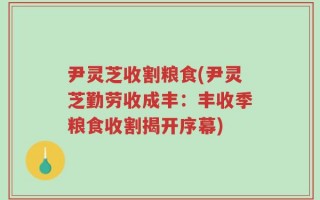 尹灵芝收割粮食(尹灵芝勤劳收成丰：丰收季粮食收割揭开序幕)