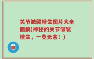 关节皱襞增生图片大全图解(神秘的关节皱襞增生，一览无余！)