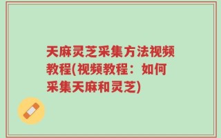 天麻灵芝采集方法视频教程(视频教程：如何采集天麻和灵芝)