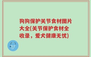 狗狗保护关节食材图片大全(关节保护食材全收录，爱犬健康无忧)