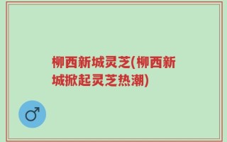 柳西新城灵芝(柳西新城掀起灵芝热潮)