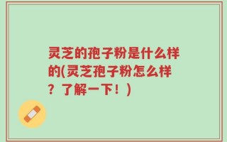 灵芝的孢子粉是什么样的(灵芝孢子粉怎么样？了解一下！)