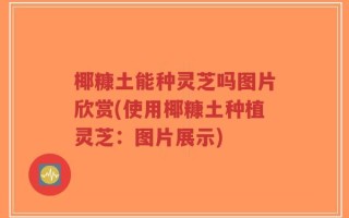 椰糠土能种灵芝吗图片欣赏(使用椰糠土种植灵芝：图片展示)