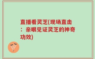 直播看灵芝(现场直击：亲眼见证灵芝的神奇功效)
