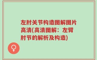 左肘关节构造图解图片高清(高清图解：左臂肘节的解析及构造)