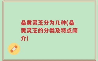 桑黄灵芝分为几种(桑黄灵芝的分类及特点简介)