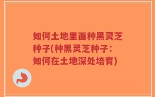如何土地里面种黑灵芝种子(种黑灵芝种子：如何在土地深处培育)
