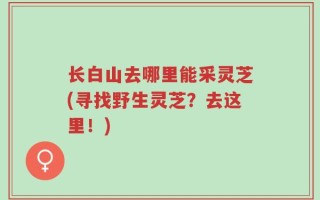 长白山去哪里能采灵芝(寻找野生灵芝？去这里！)