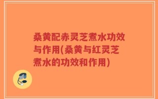 桑黄配赤灵芝煮水功效与作用(桑黄与红灵芝煮水的功效和作用)