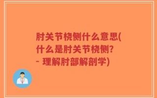 肘关节桡侧什么意思(什么是肘关节桡侧？ - 理解肘部解剖学)