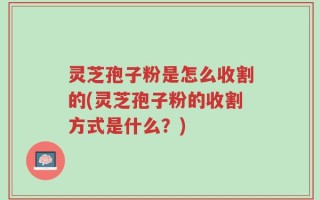 灵芝孢子粉是怎么收割的(灵芝孢子粉的收割方式是什么？)