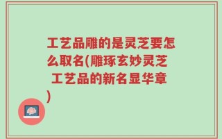 工艺品雕的是灵芝要怎么取名(雕琢玄妙灵芝 工艺品的新名显华章)