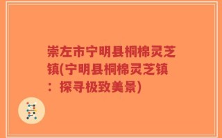 崇左市宁明县桐棉灵芝镇(宁明县桐棉灵芝镇：探寻极致美景)