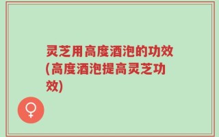 灵芝用高度酒泡的功效(高度酒泡提高灵芝功效)