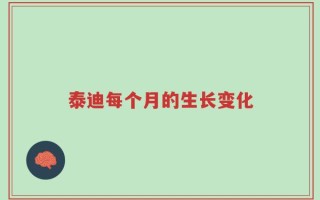 泰迪每个月的生长变化