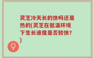 灵芝冷天长的快吗还是热的(灵芝在低温环境下生长速度是否较快？)