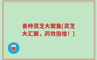各种灵芝大聚集(灵芝大汇聚，药效倍增！)