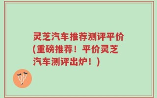 灵芝汽车推荐测评平价(重磅推荐！平价灵芝汽车测评出炉！)