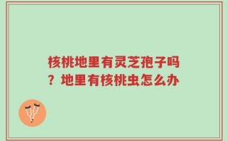 核桃地里有灵芝孢子吗？地里有核桃虫怎么办