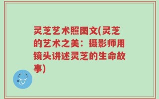 灵芝艺术照图文(灵芝的艺术之美：摄影师用镜头讲述灵芝的生命故事)