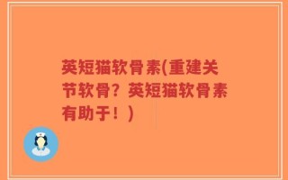 英短猫软骨素(重建关节软骨？英短猫软骨素有助于！)