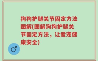狗狗护腿关节固定方法图解(图解狗狗护腿关节固定方法，让爱宠健康安全)