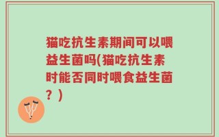 猫吃抗生素期间可以喂益生菌吗(猫吃抗生素时能否同时喂食益生菌？)