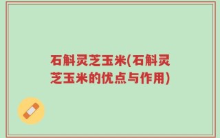 石斛灵芝玉米(石斛灵芝玉米的优点与作用)