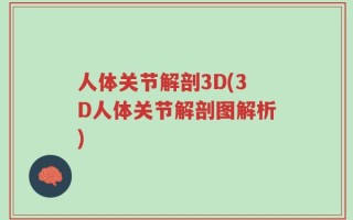 人体关节解剖3D(3D人体关节解剖图解析)